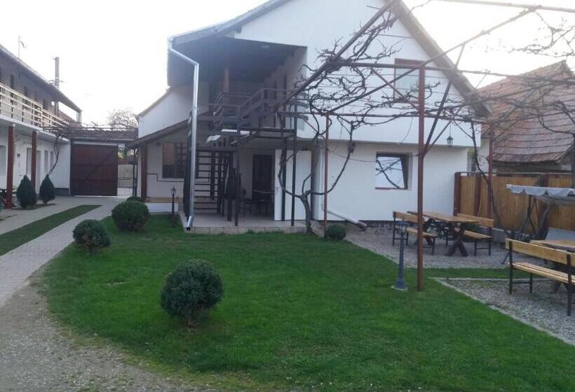 پانسیون Casa Floare De Colt