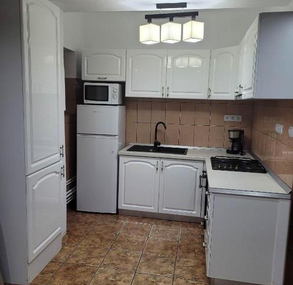 پانسیون Casa Floare De Colt