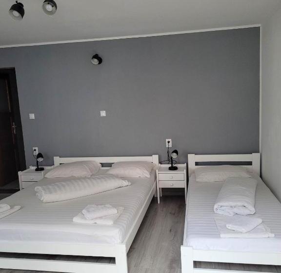 پانسیون Casa Floare De Colt