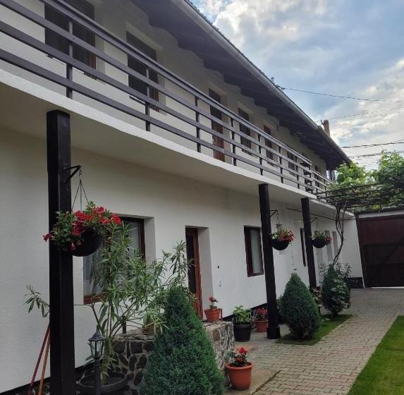 پانسیون Casa Floare De Colt