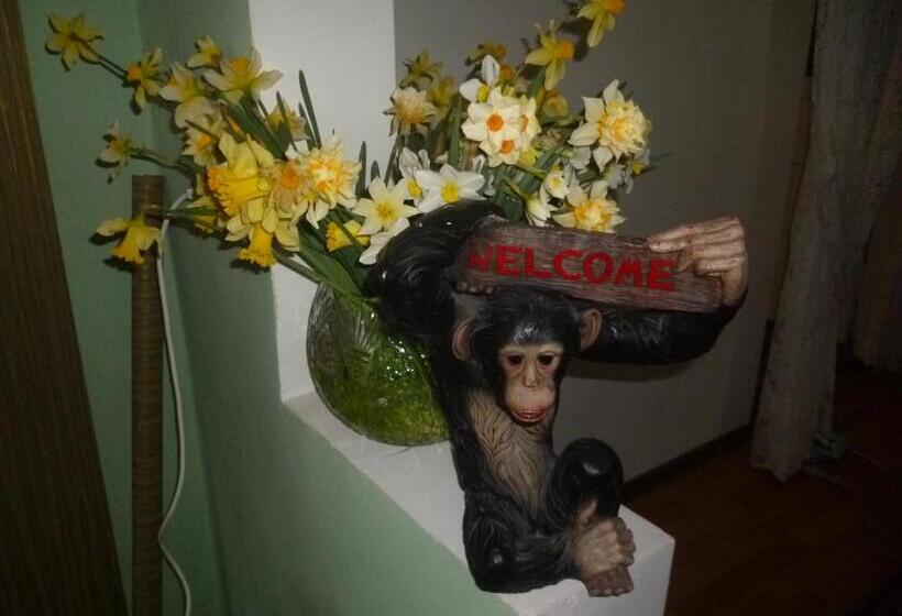 پانسیون Guest House Elena