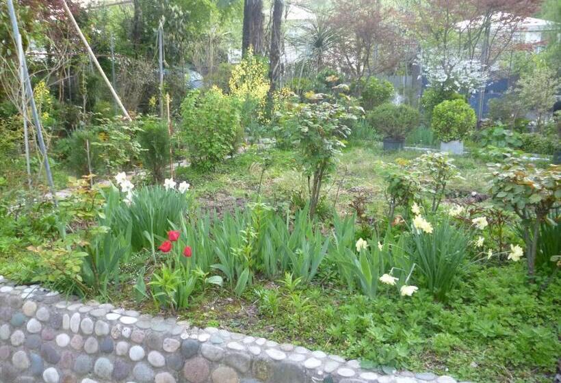 پانسیون Guest House Elena