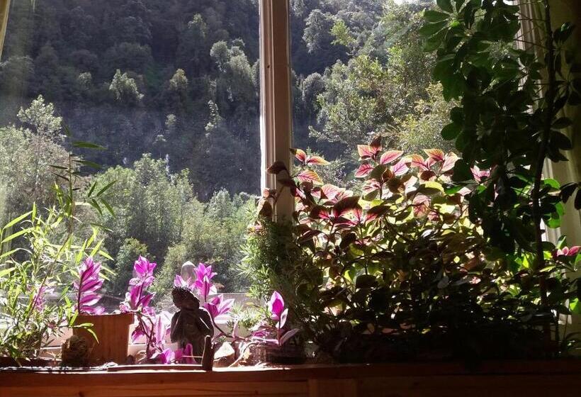 פנסיון La Frontera Bed & Breakfast, Valle Cochamó