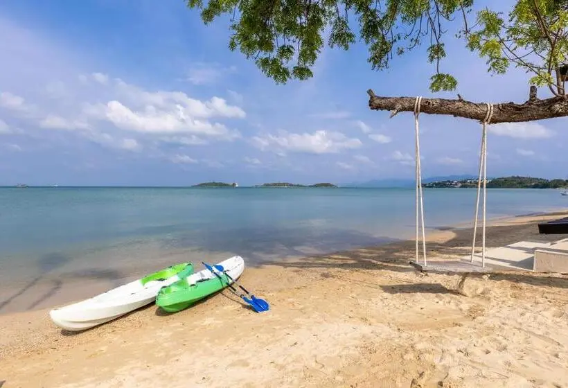 ホテル Zaya Beach Club & Resort