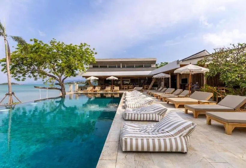 ホテル Zaya Beach Club & Resort