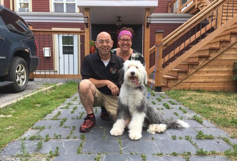 호스텔 Auberge La Dolce Vita