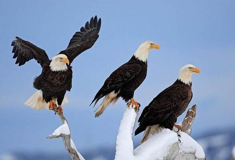 호스텔 Auberge La Dolce Vita