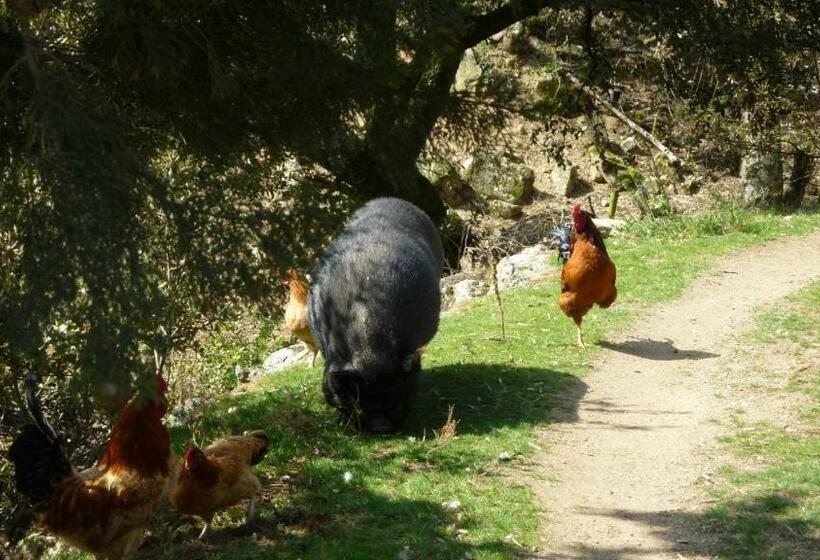 تختخواب و صبحانه Ferme Des Combettes