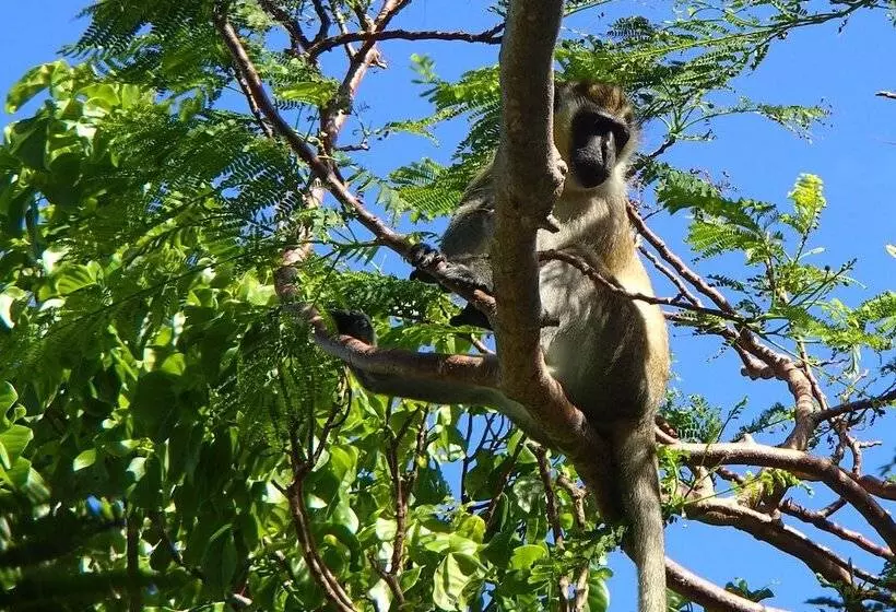 هتل Colombus Résidence