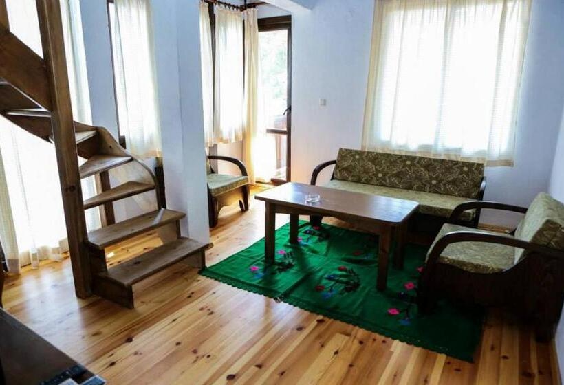 酒店 Delchovski Han