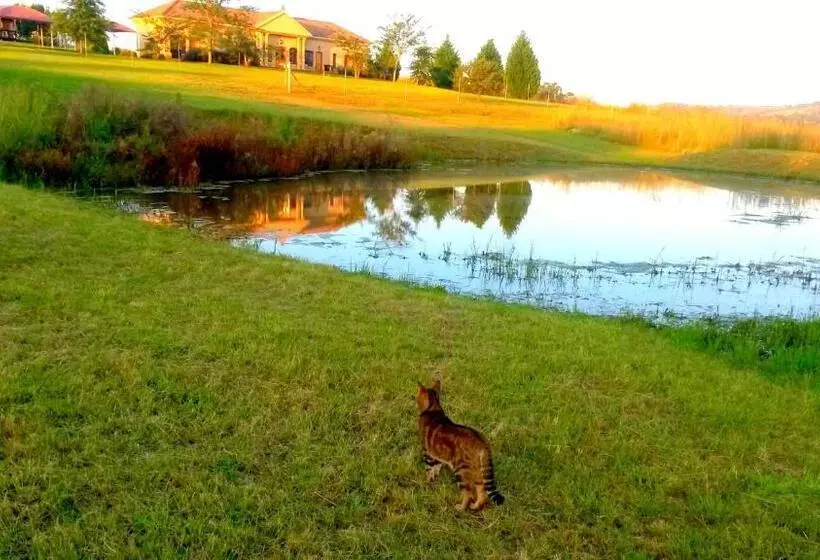 Hotelli River Crossing