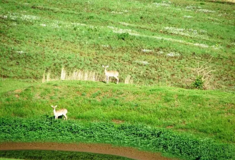 Hotelli River Crossing