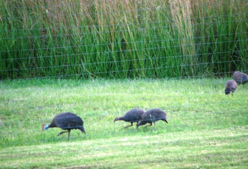 فندق River Crossing