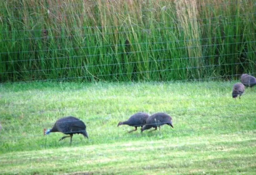 Hotelli River Crossing