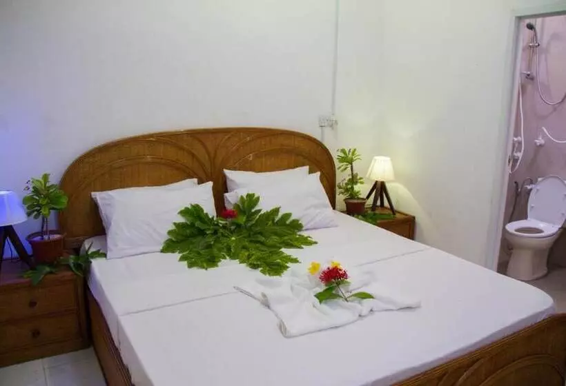 پانسیون Alvi Star Inn