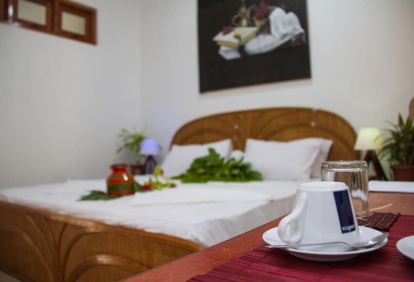 پانسیون Alvi Star Inn