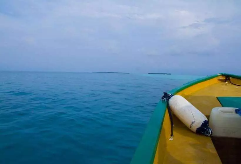 پانسیون Alvi Star Inn