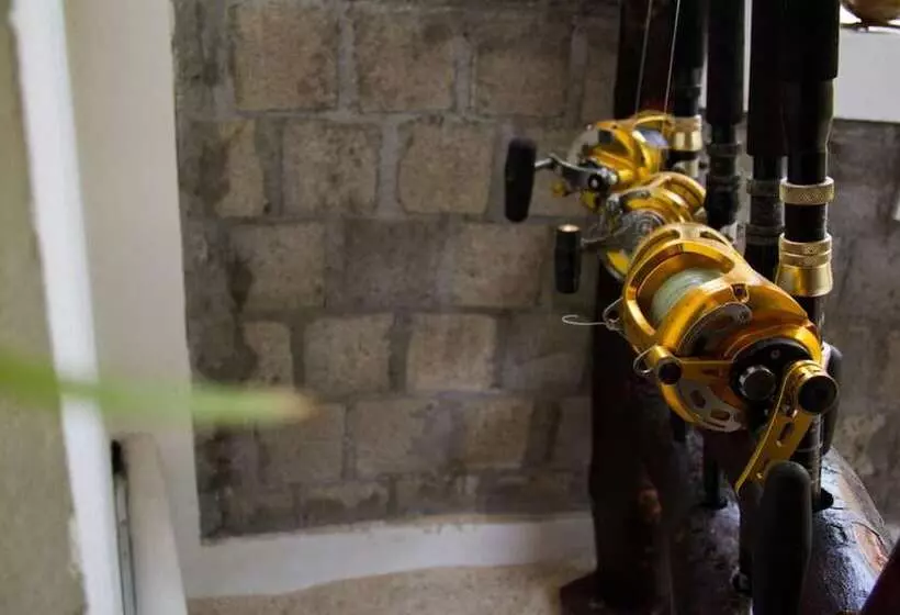 پانسیون Alvi Star Inn