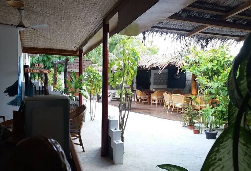 پانسیون Alvi Star Inn