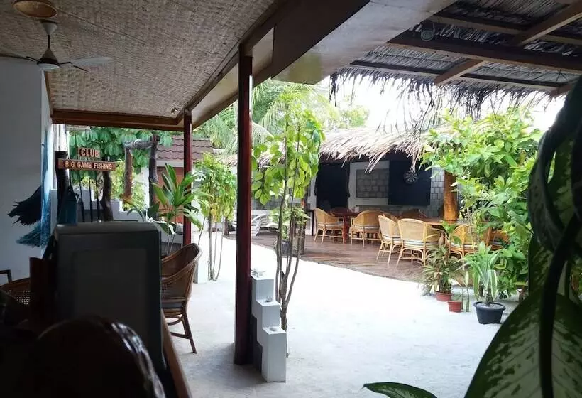 پانسیون Alvi Star Inn