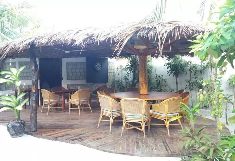 پانسیون Alvi Star Inn