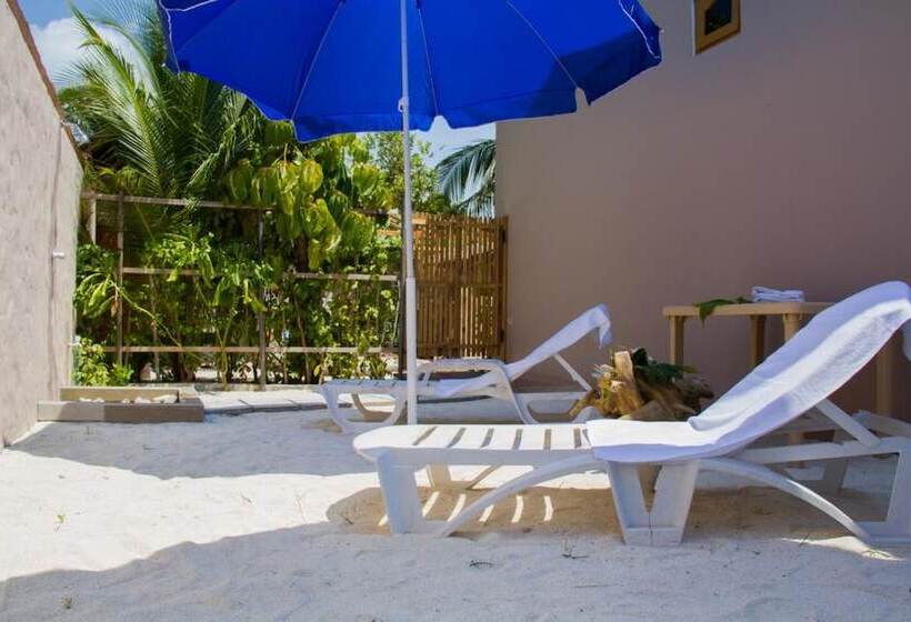 پانسیون Alvi Star Inn