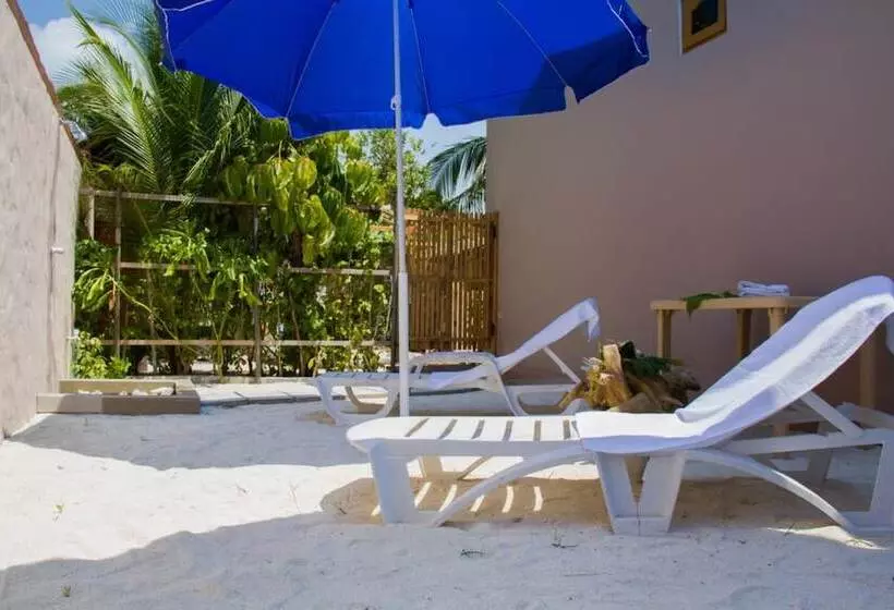 پانسیون Alvi Star Inn