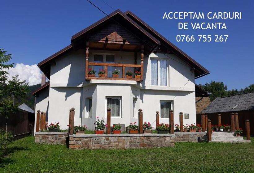 膳宿费 Casa Muntean