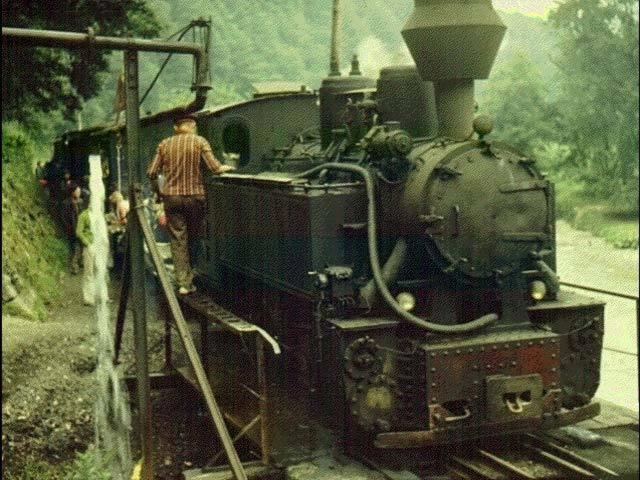 膳宿费 Casa Muntean