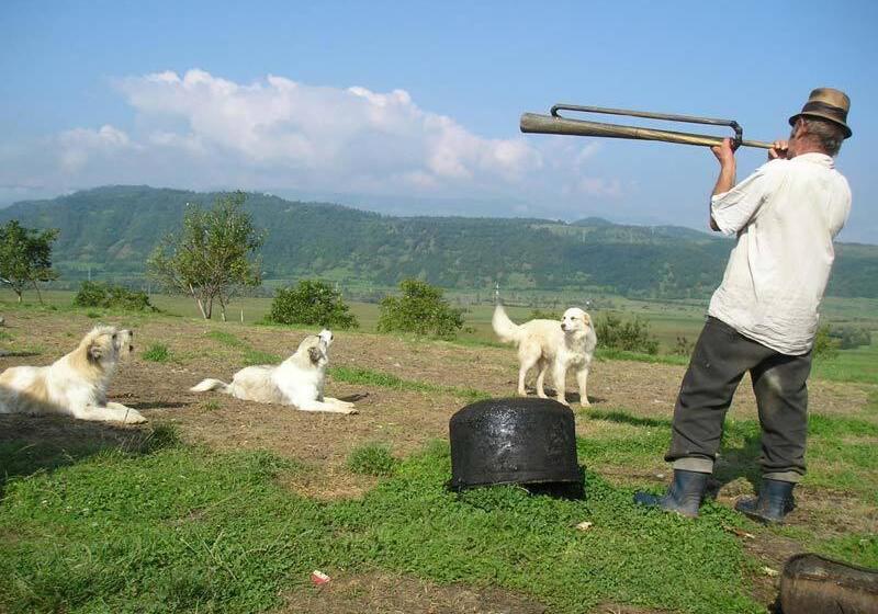 膳宿费 Casa Muntean