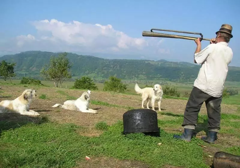 Majatalo Casa Muntean