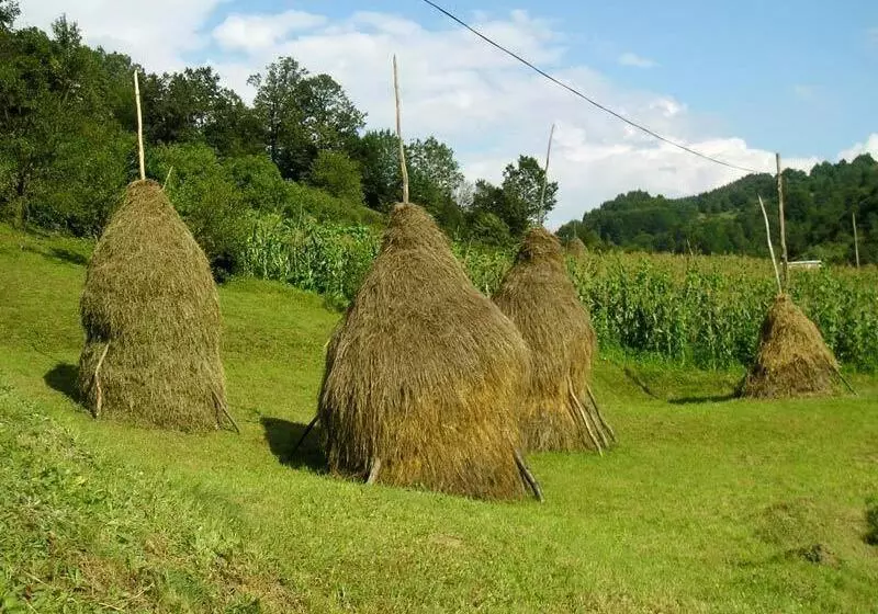 Majatalo Casa Muntean