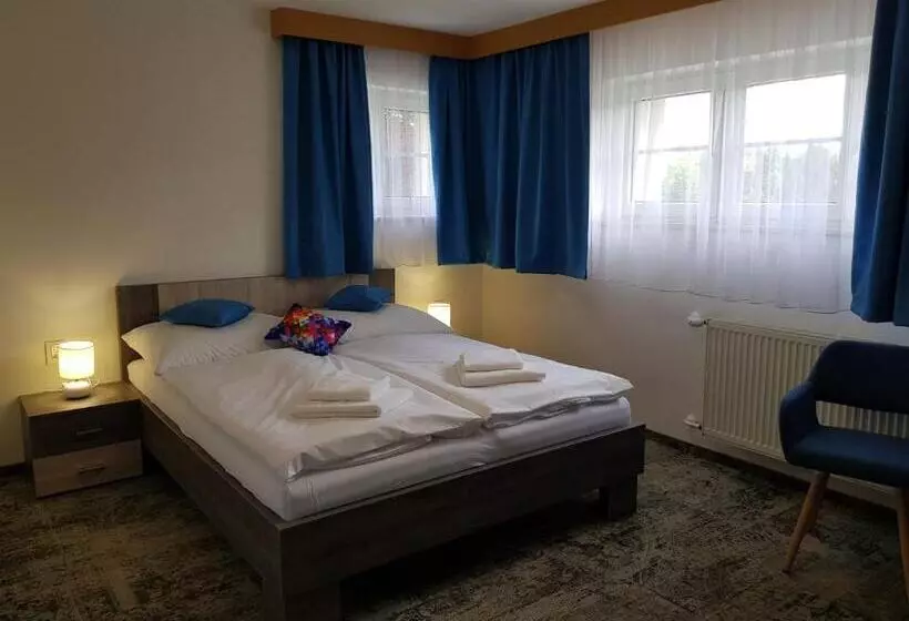 ペンション Penzion Vila Tereza