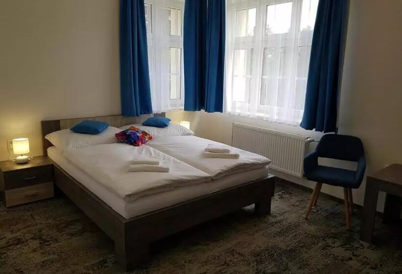 ペンション Penzion Vila Tereza