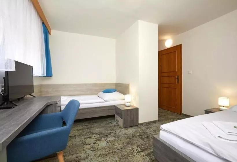 ペンション Penzion Vila Tereza