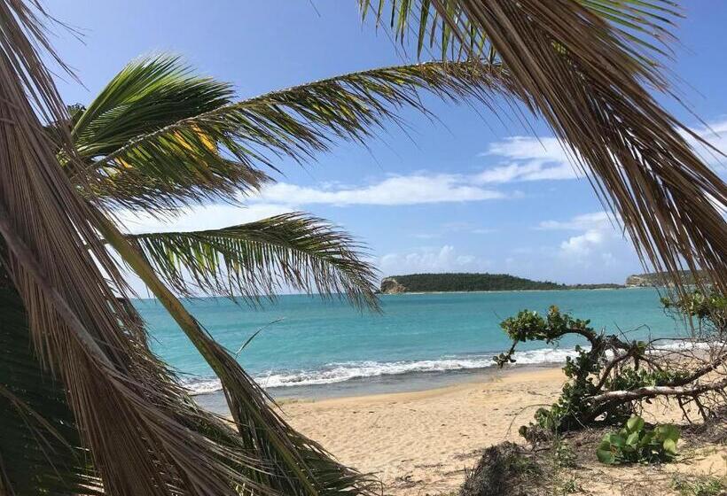 پانسیون Vieques Good Vibe Guest House