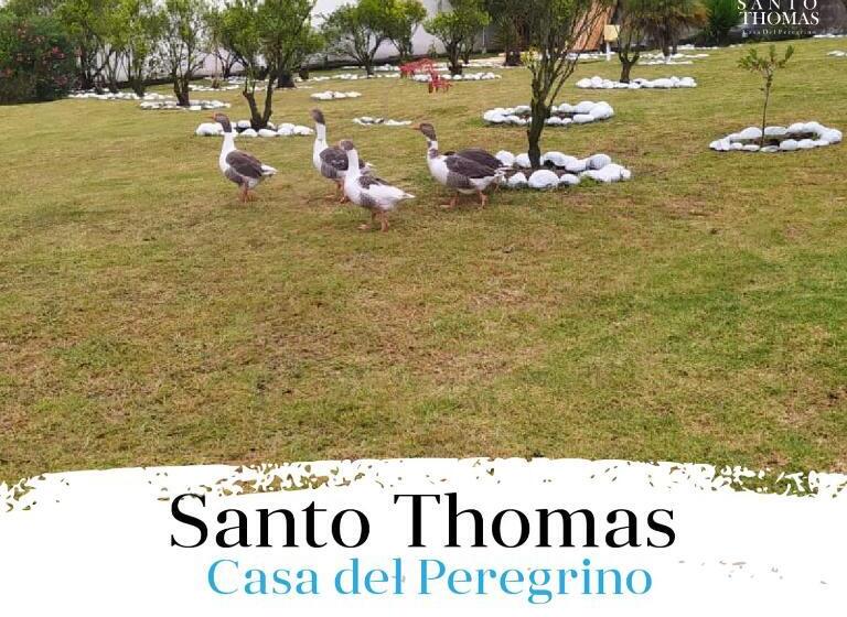 酒店 Casa Del Peregrino Santo Thomas