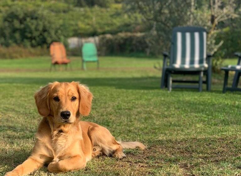 Relais Valpolicella B&b