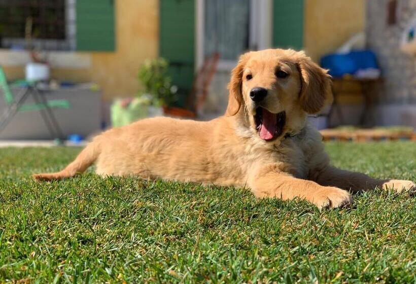 Relais Valpolicella B&b