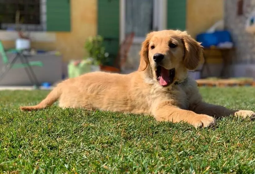 Relais Valpolicella B&b