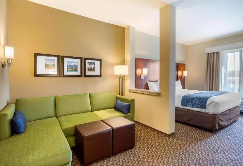 ホテル Comfort Suites Burlington Near I 5