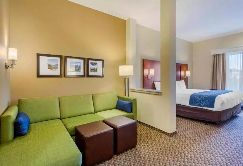 ホテル Comfort Suites Burlington Near I 5