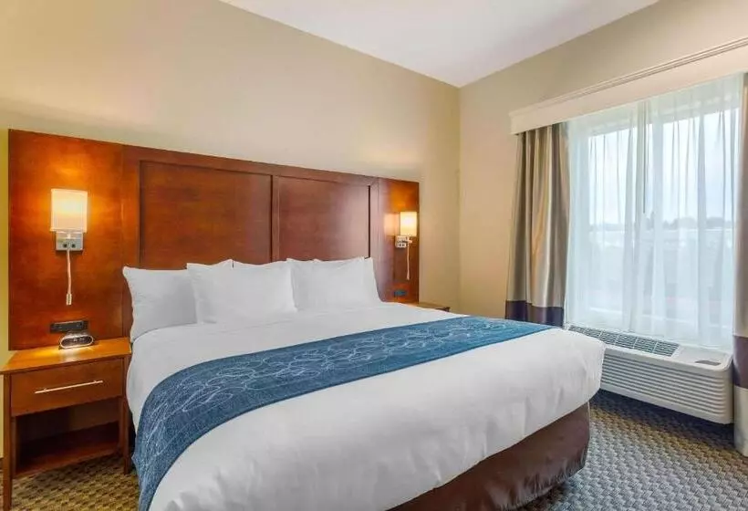 ホテル Comfort Suites Burlington Near I 5
