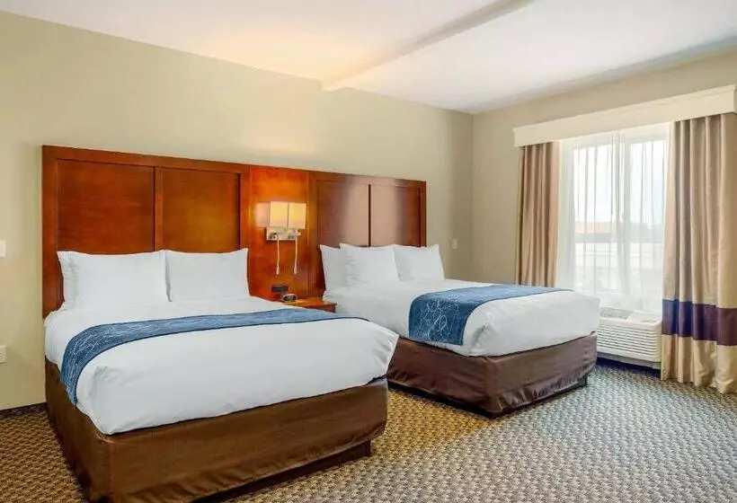 ホテル Comfort Suites Burlington Near I 5