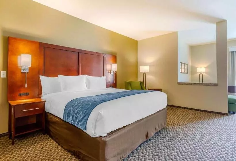 ホテル Comfort Suites Burlington Near I 5