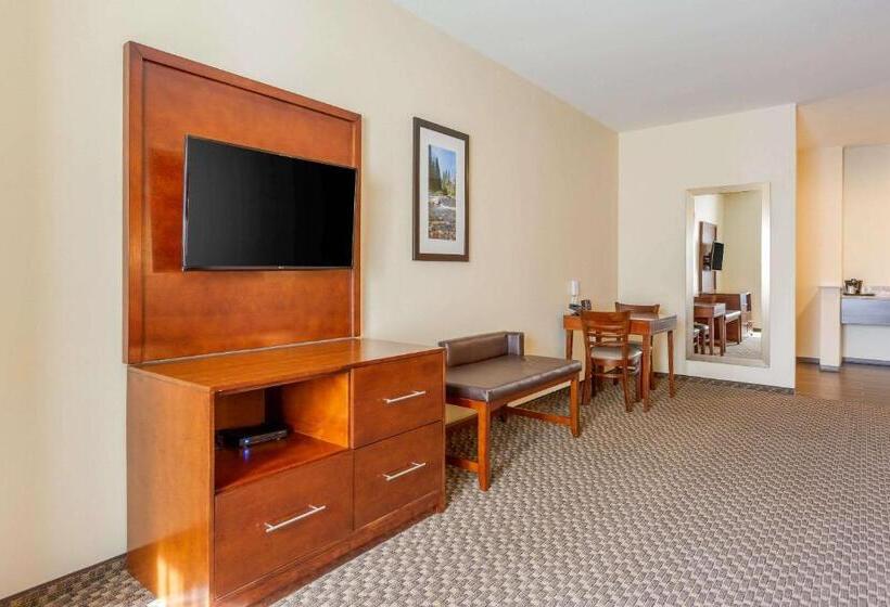 酒店 Comfort Suites Burlington Near I 5