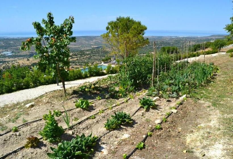 تختخواب و صبحانه Madre