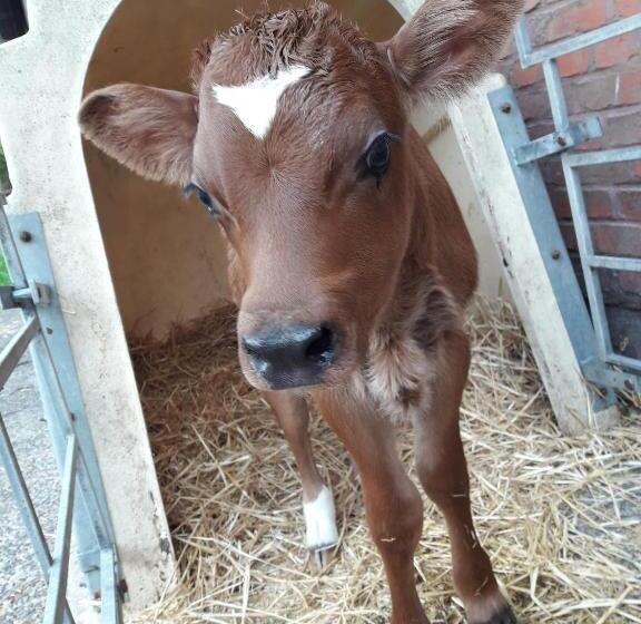 Kleinhotel Steinau Rabenstein
