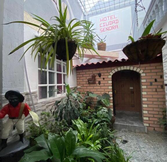 هتل Ciudad Señora Buga