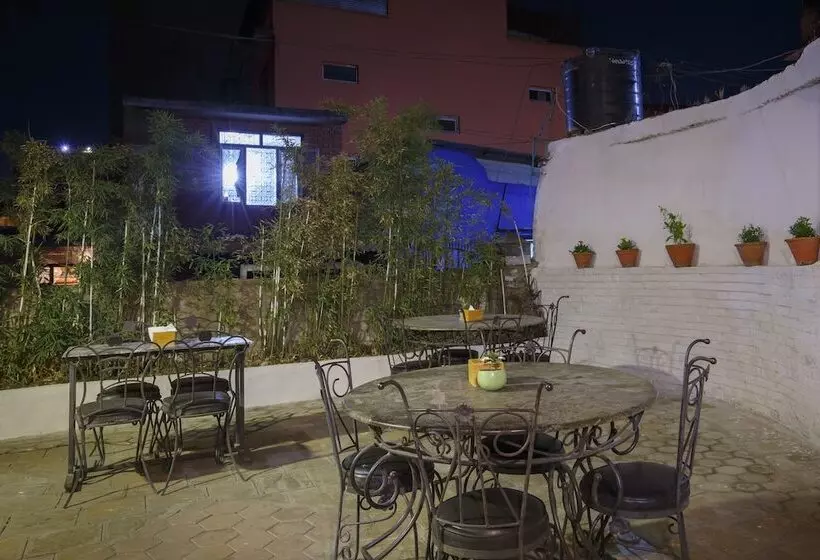 هاستل Pacific Guest House